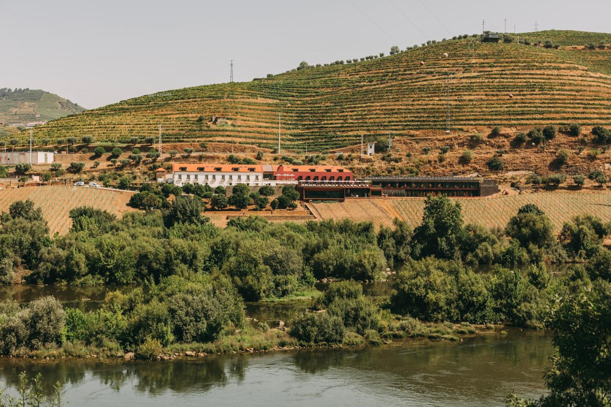 Torel Quinta Da Vacaria - Douro Valley Peso da Regua Luaran gambar